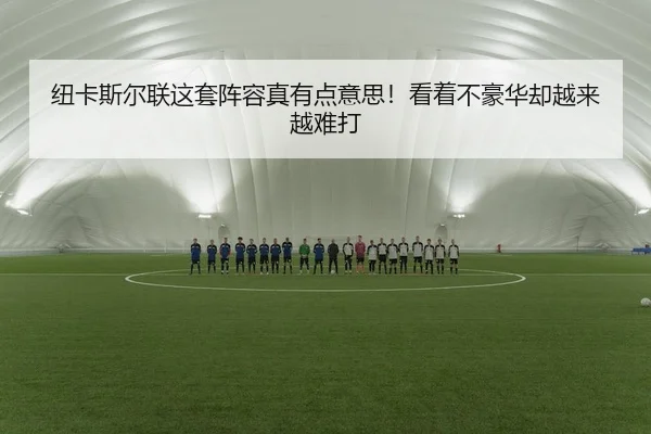 纽卡斯尔联这套阵容真有点意思！看着不豪华却越来越难打 | leyu